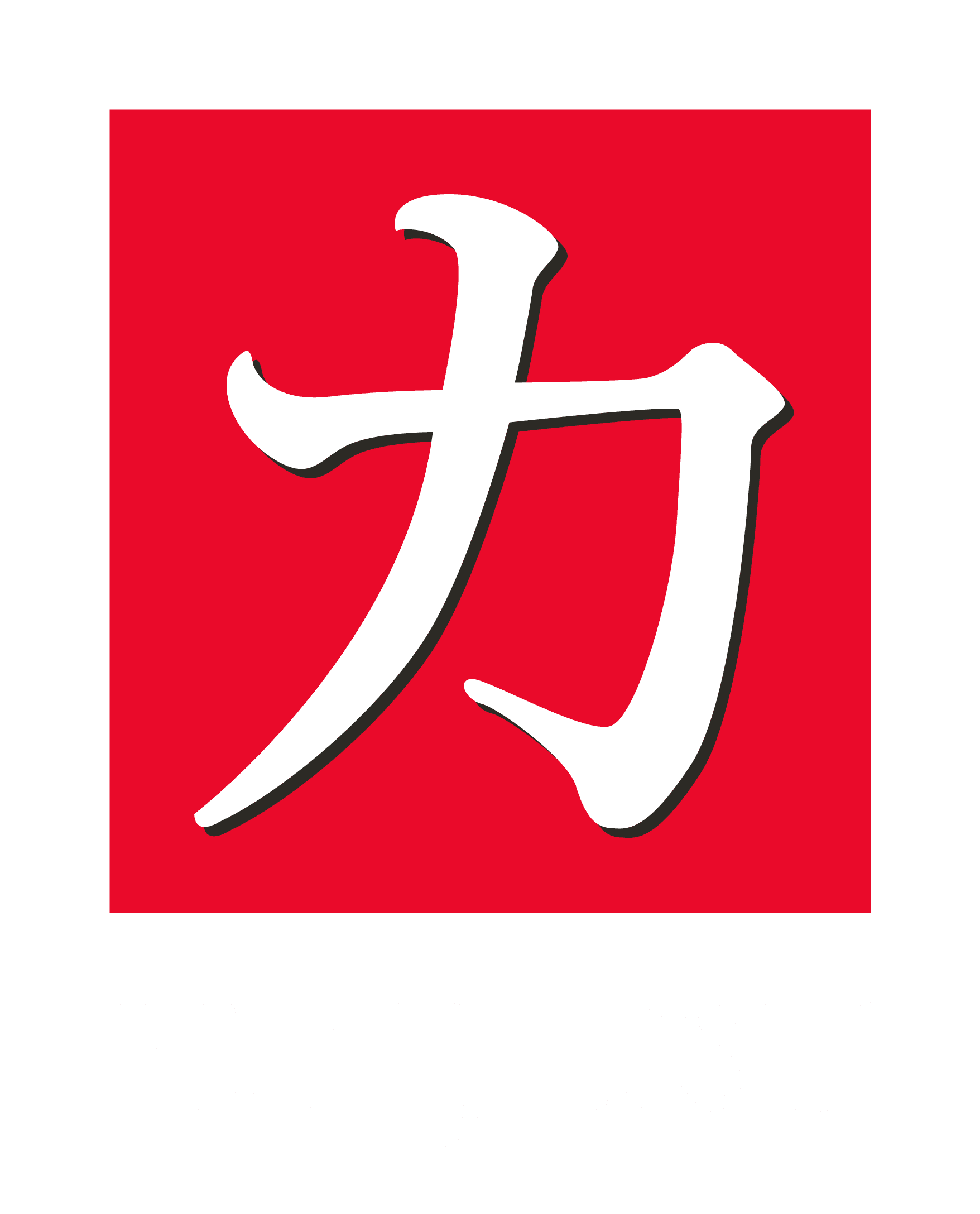 KENJITSU — Distribuidor autorizado LATAM